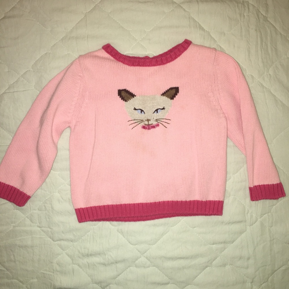 Gymboree Pink Teachers Pet Pullover with Cat